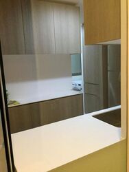 The Tembusu (D19), Condominium #638684741